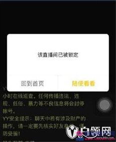 yy石头哥最新爆料,最新爆料背后的惊人真相